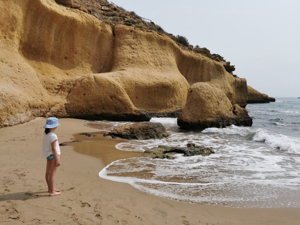 Playa La Carolina