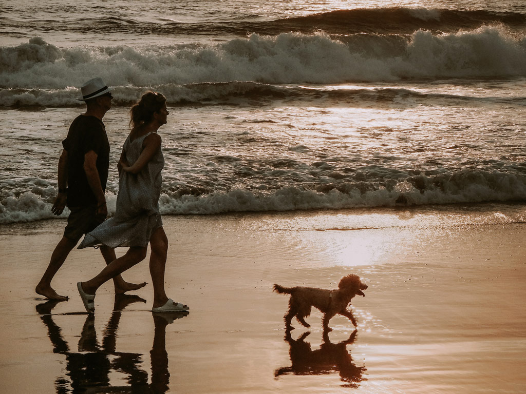 Playa canina Almería